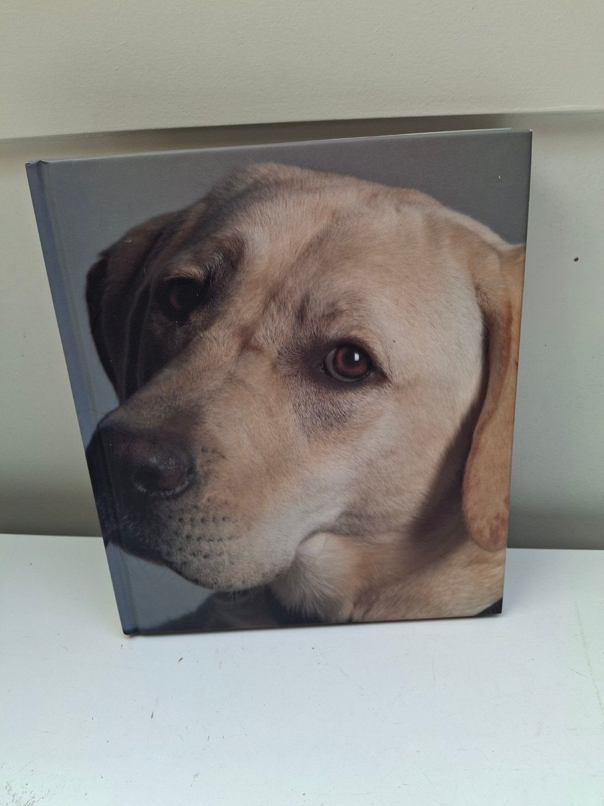 Puppies Behind Bars - Hardcover boek over honden, Boeken, Ophalen of Verzenden, Zo goed als nieuw, Honden, Christopher Makos en Paul Solberg