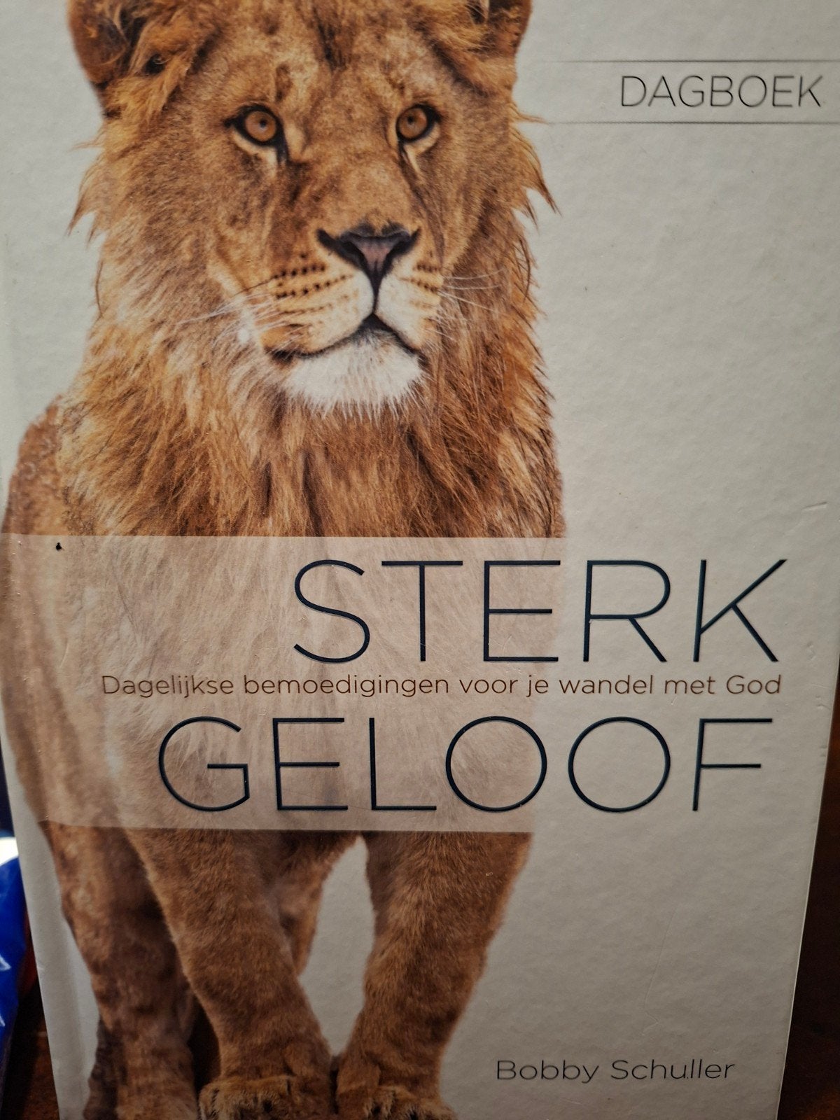 Sterk Geloof Dagboek - Bobby Schuller, Ophalen of Verzenden, Zo goed als nieuw, Bobby Schuller, Christendom | Protestants
