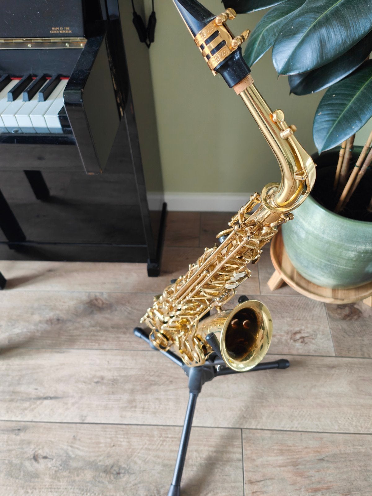 Trevor James The Horn Alt Saxofoon - Complete Set, Muziek en Instrumenten, Blaasinstrumenten | Saxofoons, Ophalen