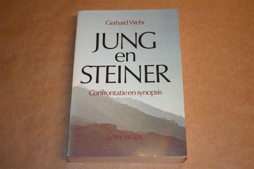 Jung en Steiner - Confrontatie en Synopsis, Boeken, Esoterie en Spiritualiteit, Ophalen of Verzenden, Zo goed als nieuw, Overige onderwerpen