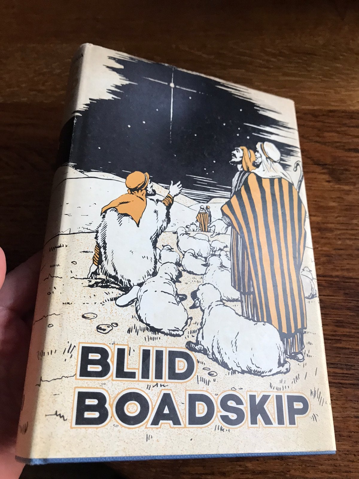 Bliid Boadskip Zantema, Ophalen of Verzenden, Gelezen