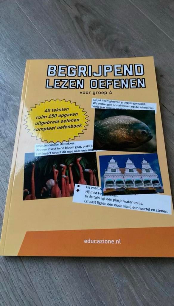 Begrijpend lezen groep 4 oefenen - Cito - Leerling in Beeld, Ophalen of Verzenden, Nieuw