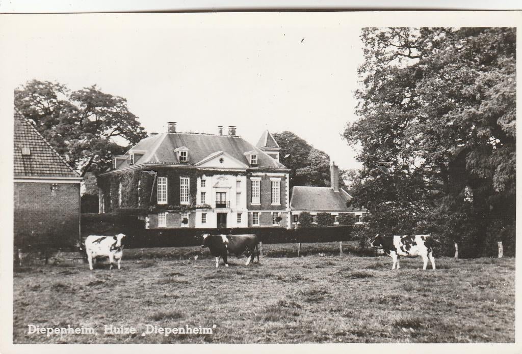 huize diepenheim, Ophalen of Verzenden, Gelderland