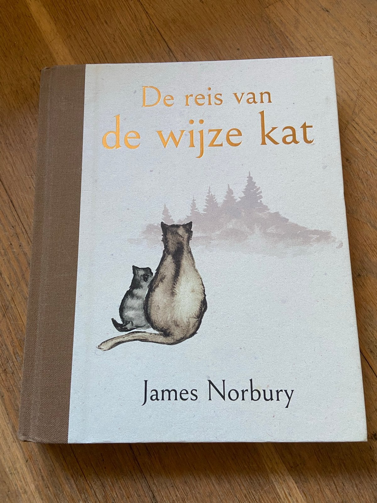 De reis van de wijze kat - James Norbury, Boeken, Ophalen of Verzenden, Zo goed als nieuw, Nederland