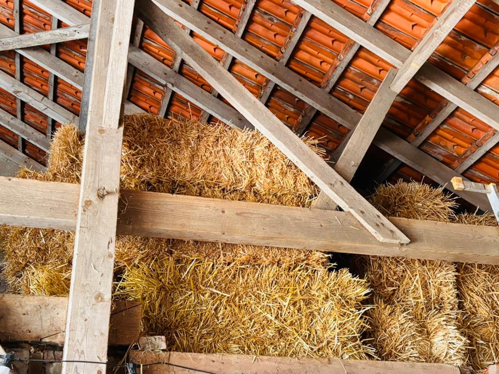 Mooie pakjes gerstestro uit 2025, Dieren en Toebehoren, Dierenvoeding, Ophalen, Vee