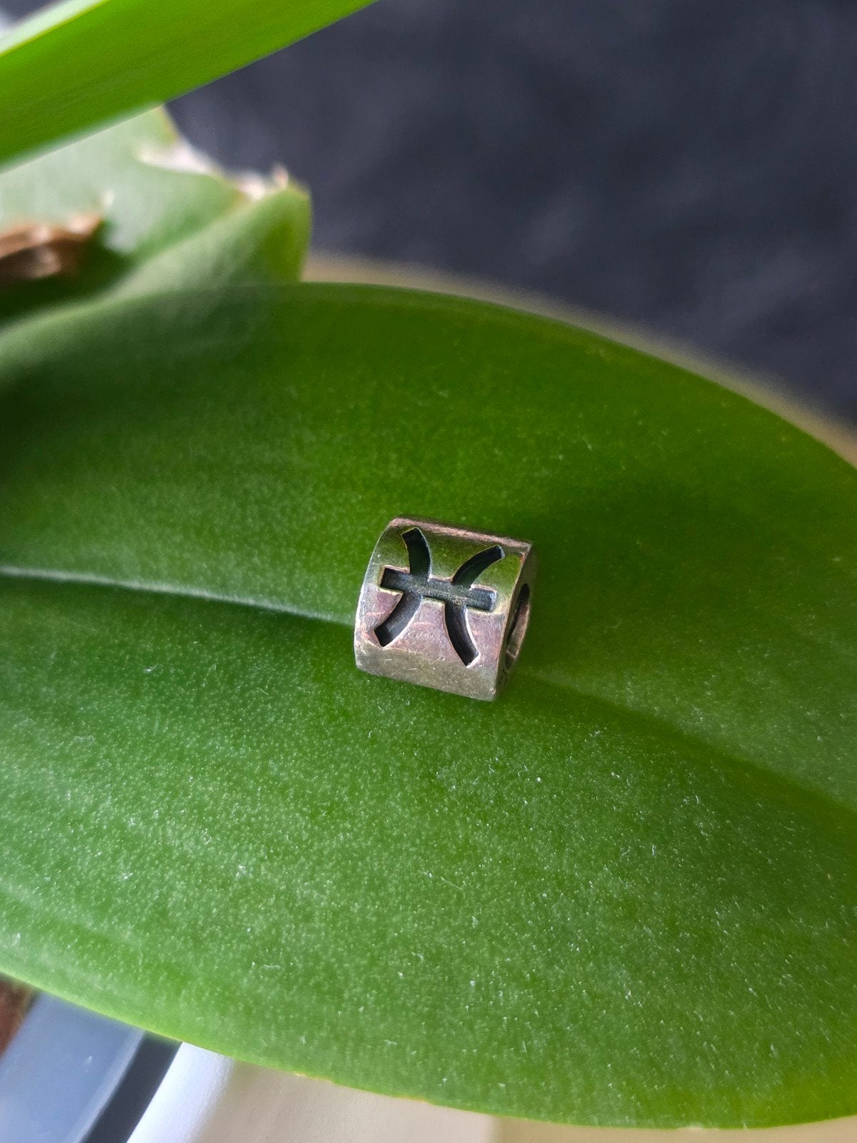 pandora sterrenbeeld vissen, Sieraden, Tassen en Uiterlijk, Bedels, Ophalen of Verzenden, Zo goed als nieuw, Zilver, Pandora