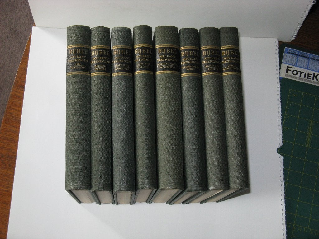 Bijbels met kant/tekeningen zie de foto's van de Boeken., Ophalen of Verzenden, Zo goed als nieuw