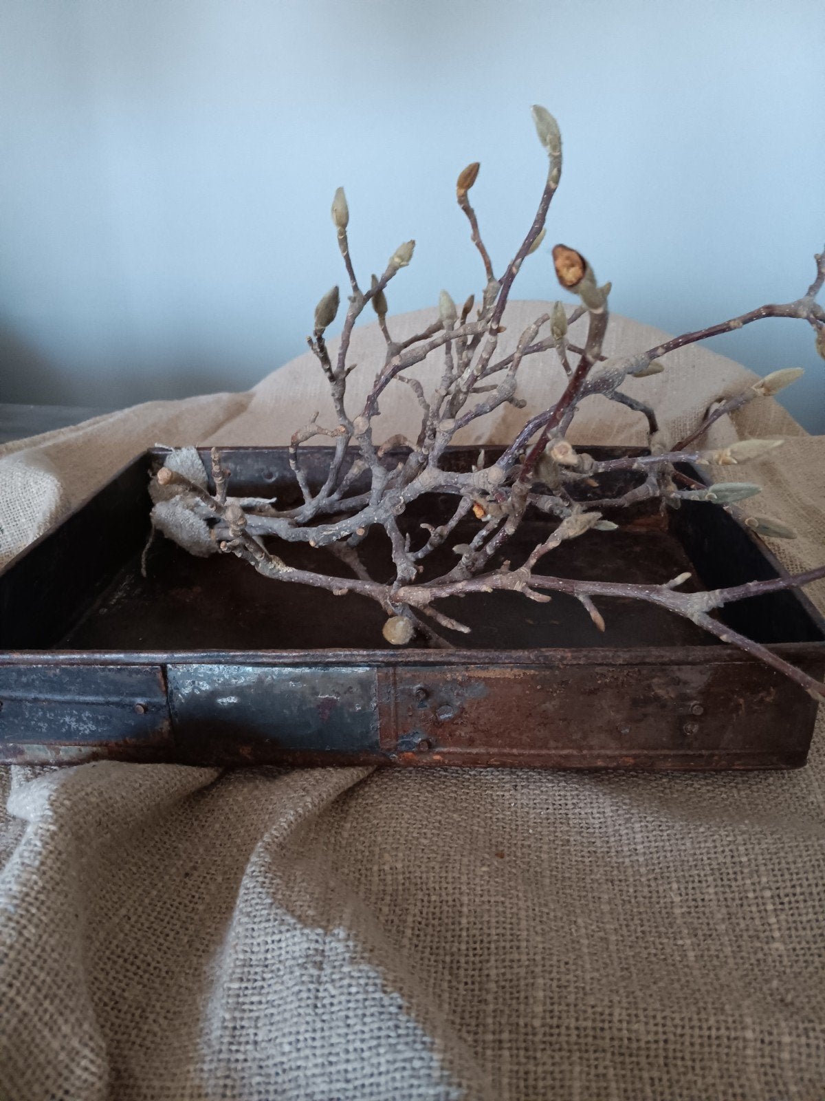 Oude metalen bak, Ophalen of Verzenden