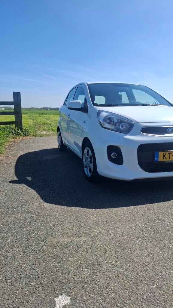 Kia Picanto 1.0 Cvvt 66 PK 5D 2016 Wit, Stof, Zwart, 4 stoelen, Wit