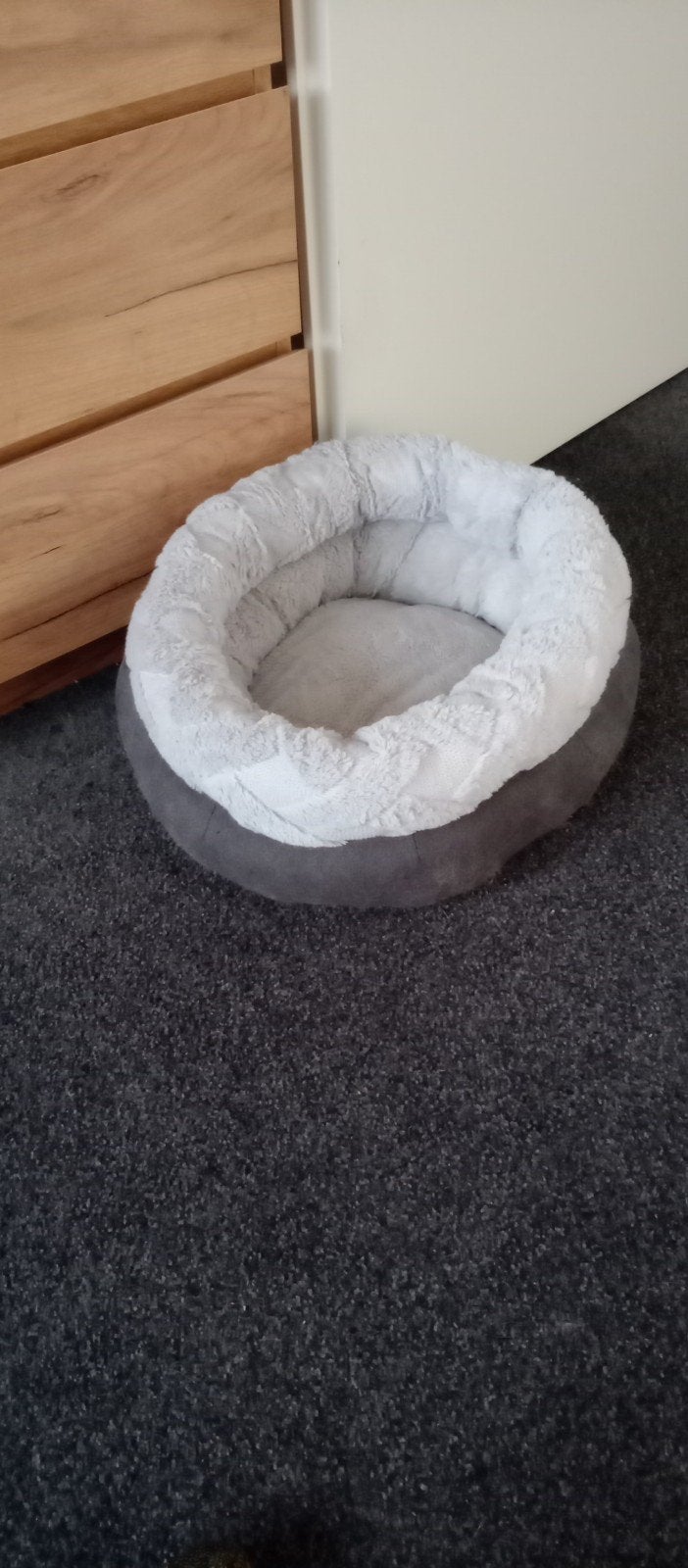 kattenmand, Dieren en Toebehoren, Ophalen