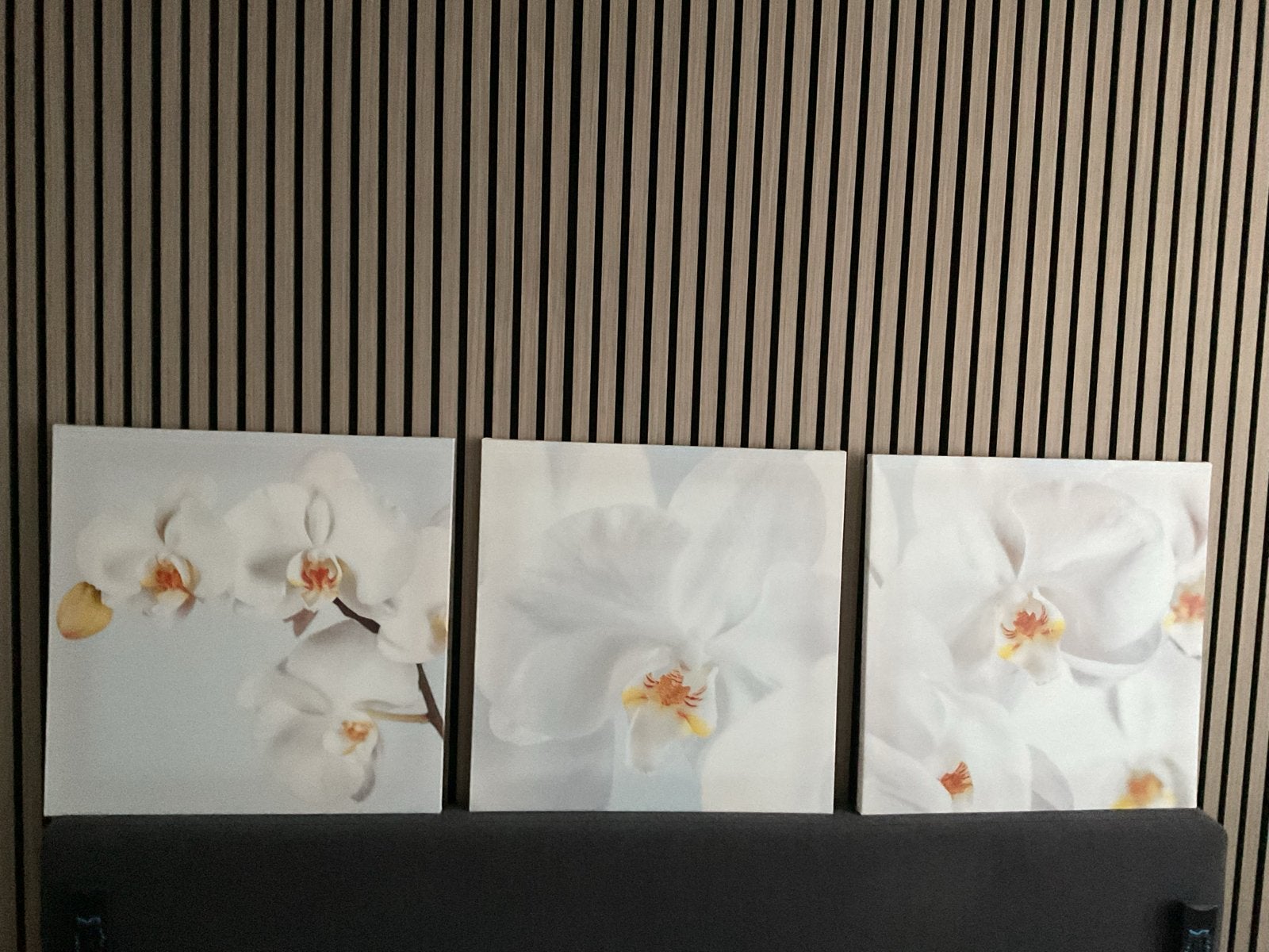 Set van 3 canvas schilderijen met witte orchideeën, Ophalen, Zo goed als nieuw, Schilderij, 5 – 50
