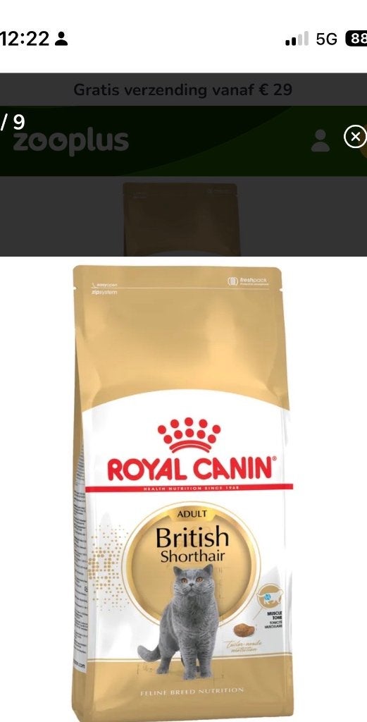 Royal Canin British Shorthair Adult 10kg. Droogvoer, Verzenden, Kat