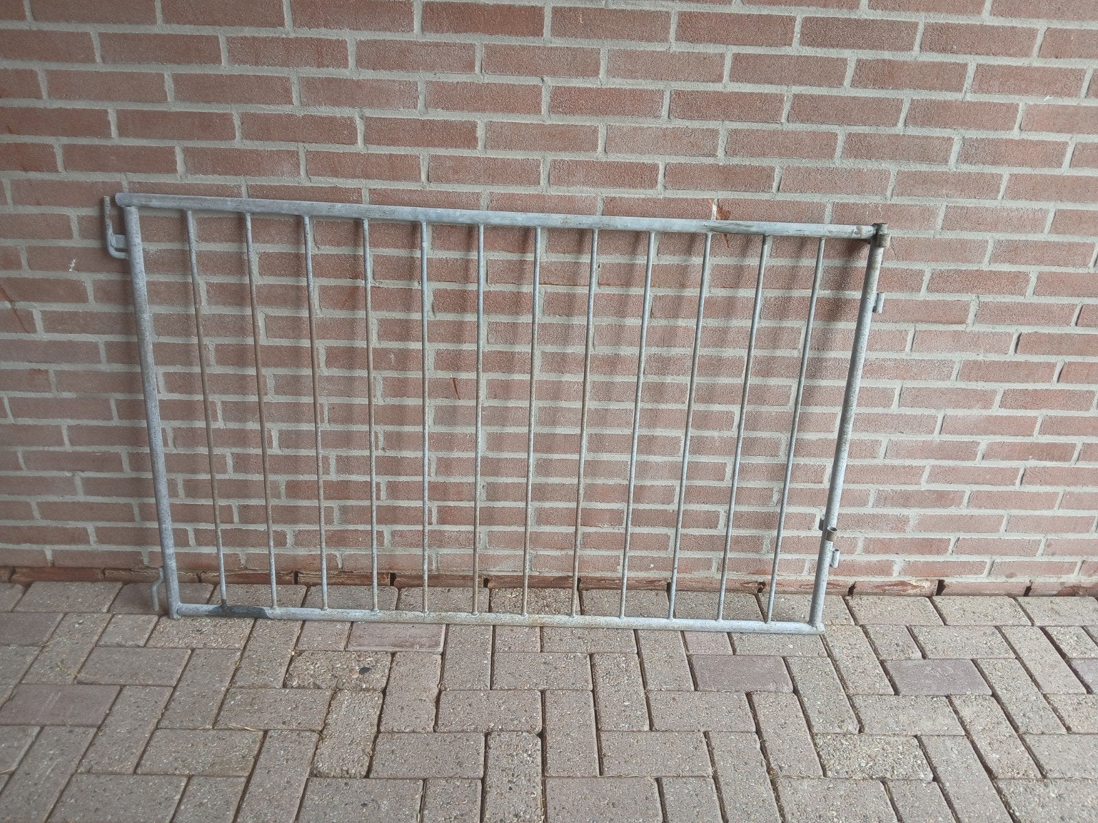 Kalver / schapen hekjes te koop