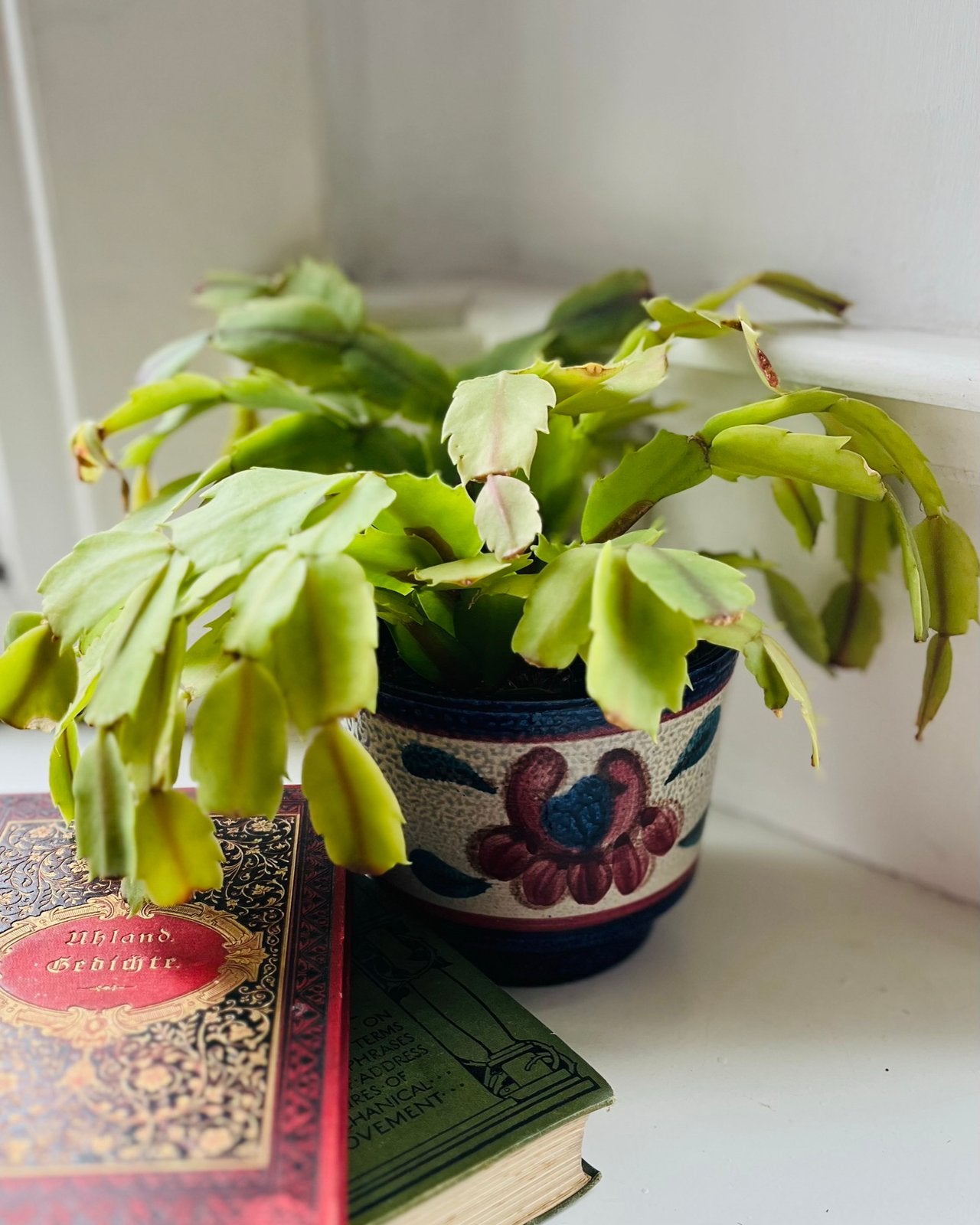 Vintage plantenpot, Ophalen