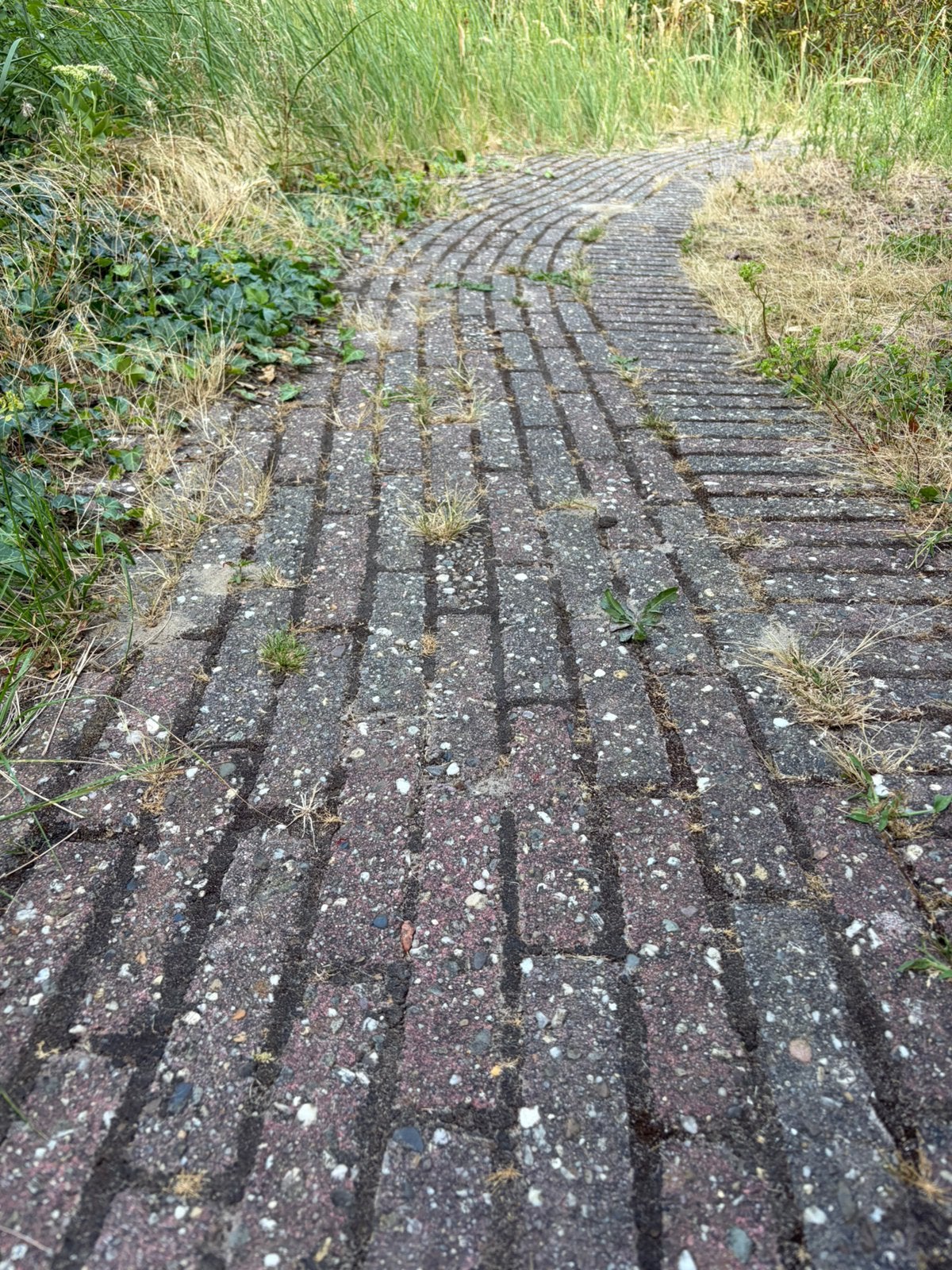 Gratis 1650 klinkers 20x5cm, Ophalen, Gebruikt, Klinkers, 10 m² of meer