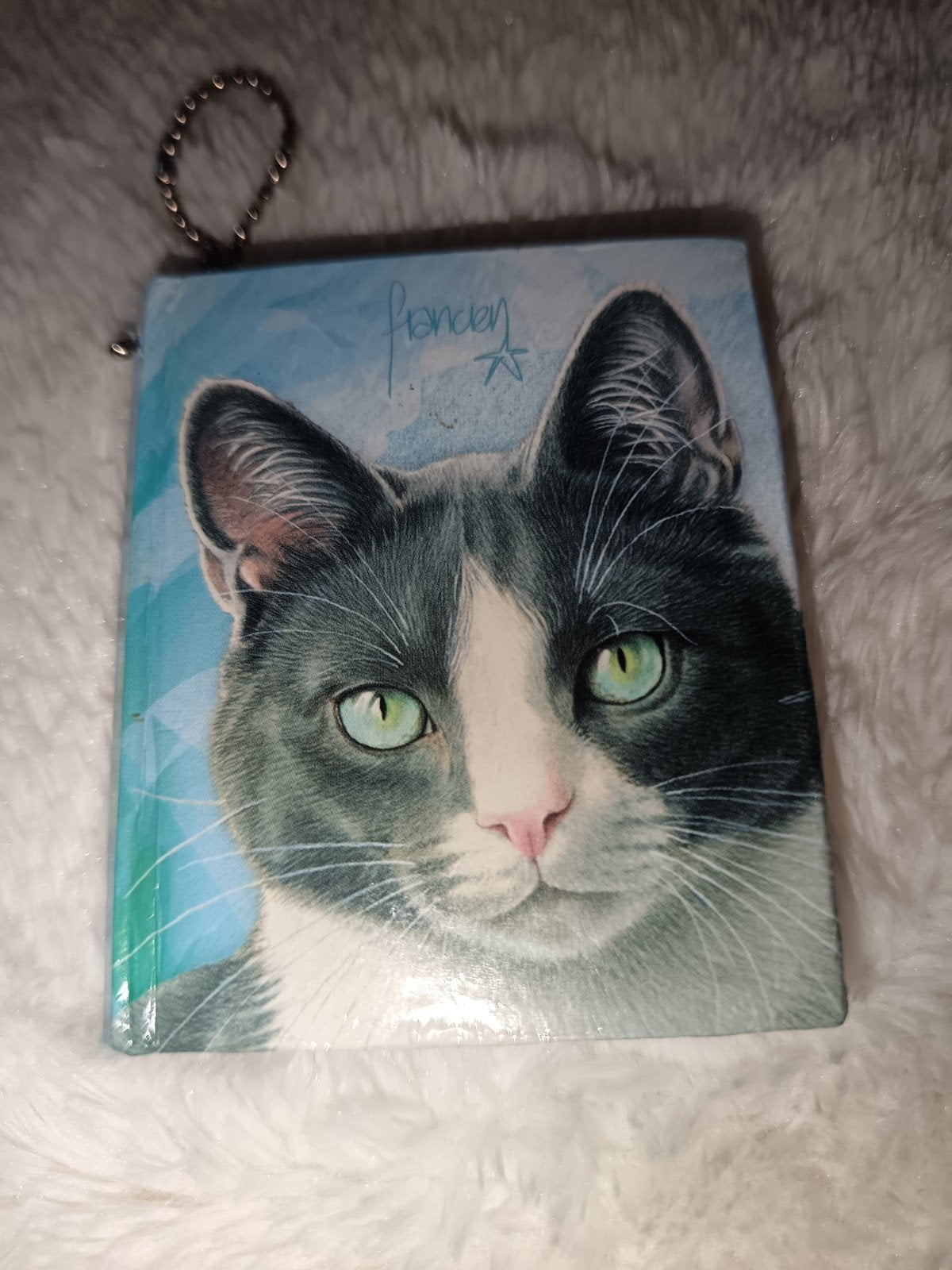 Katten Memo boekje MINI NIEUW, Dieren en Toebehoren, Ophalen