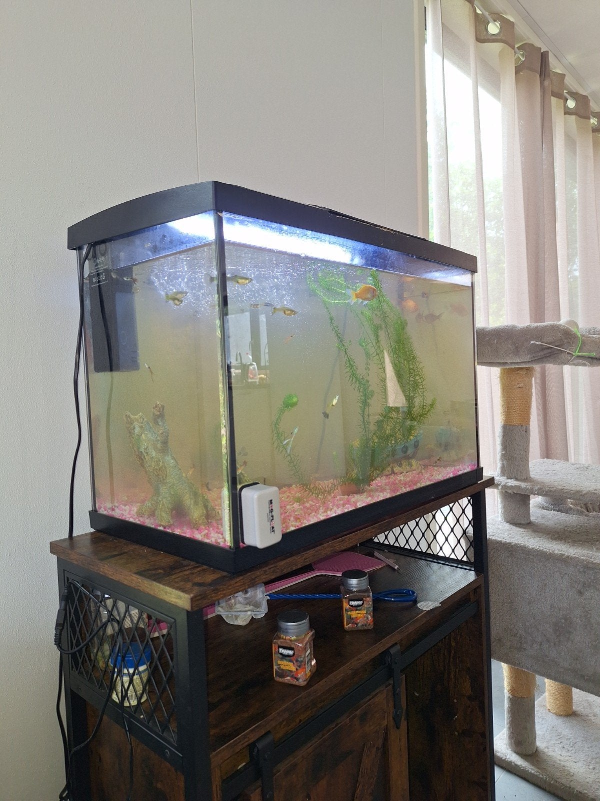 Aquarium, Ophalen