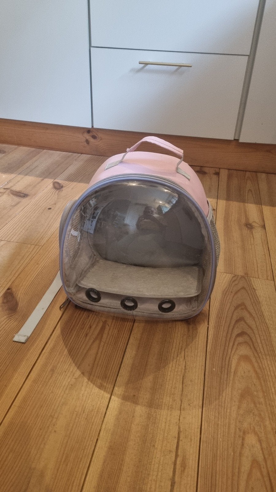 Katten rugtas roze, Ophalen of Verzenden