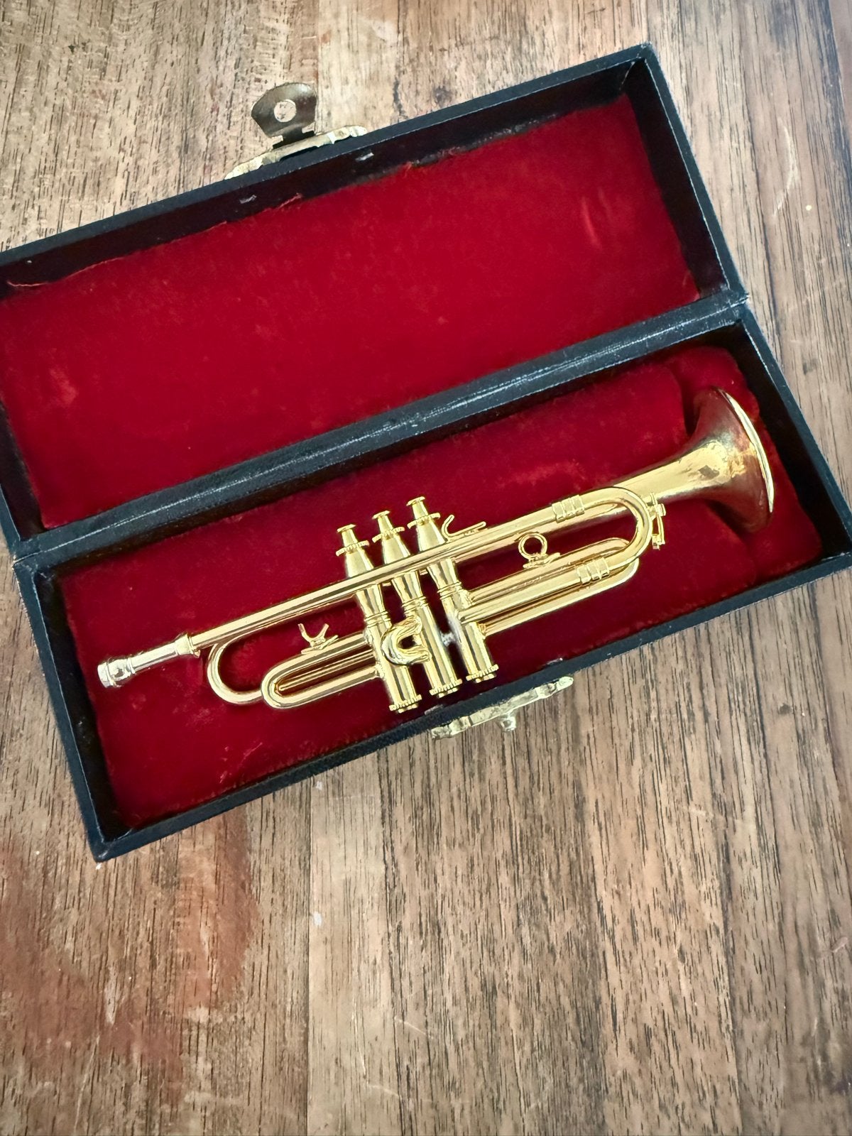Miniatuur trompet met koffer - Decoratief item, Ophalen of Verzenden, Gebruikt, Overige typen, Met koffer