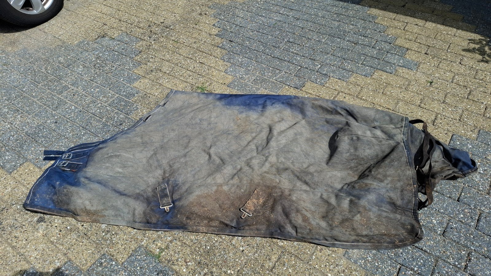 winterdeken voor paard, Ophalen of Verzenden, Gebruikt, Overige merken