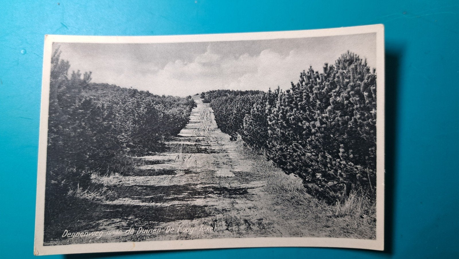 Texel De Koog Dennenweg door de duinen 1944, Ophalen of Verzenden, 1940 tot 1960, Gelopen, Waddeneilanden