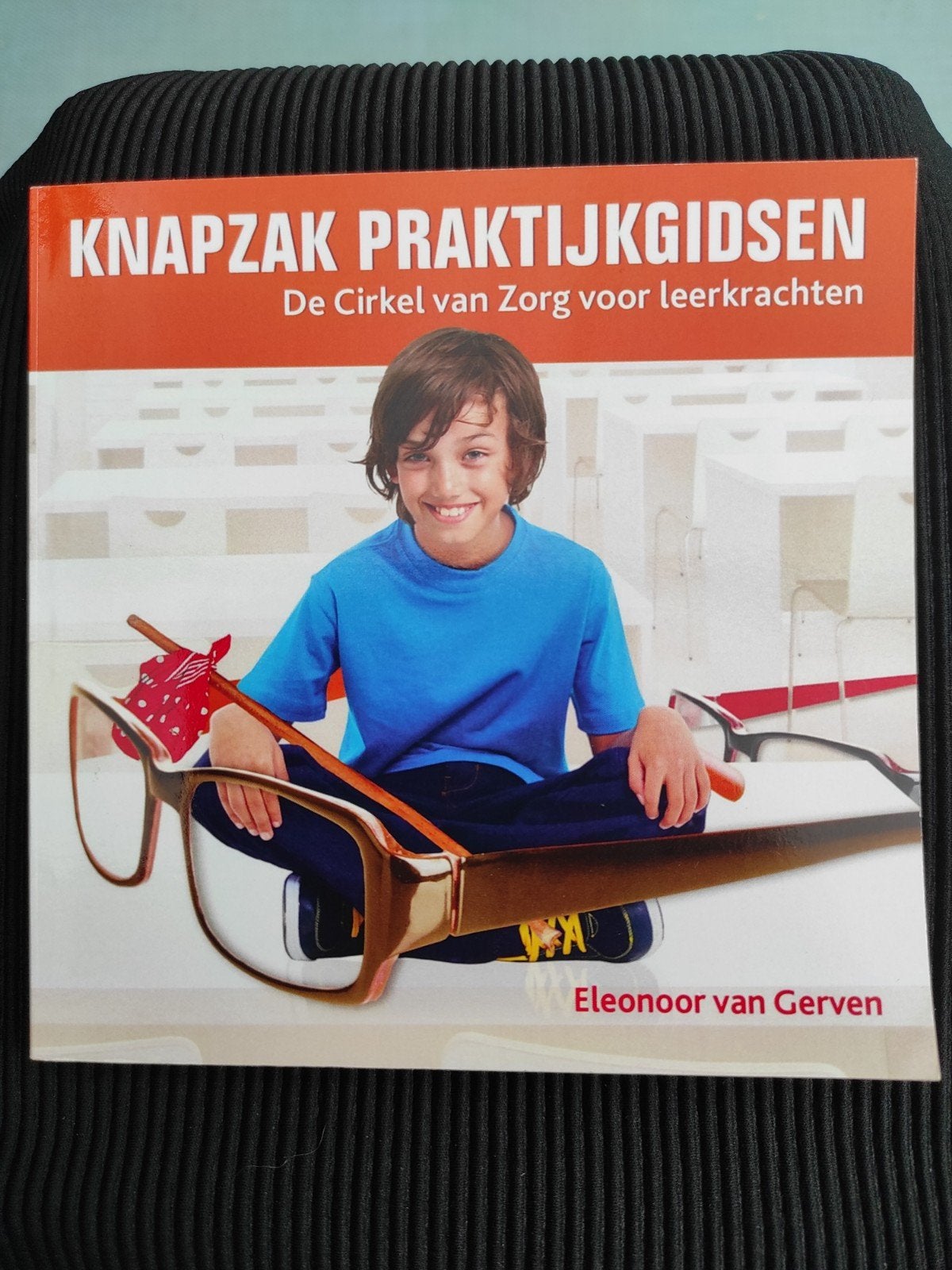 Eleonoor van Gerven - De cirkel van zorg voor leerkrachten, Ophalen of Verzenden, Zo goed als nieuw, Eleonoor van Gerven, Nederlands