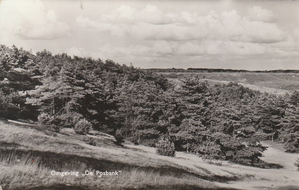 J105 oude ansichtkaart omgeving de posbank rheden z/w 1961, Verzamelen, Ansichtkaarten | Nederland, Ophalen of Verzenden, 1960 tot 1980