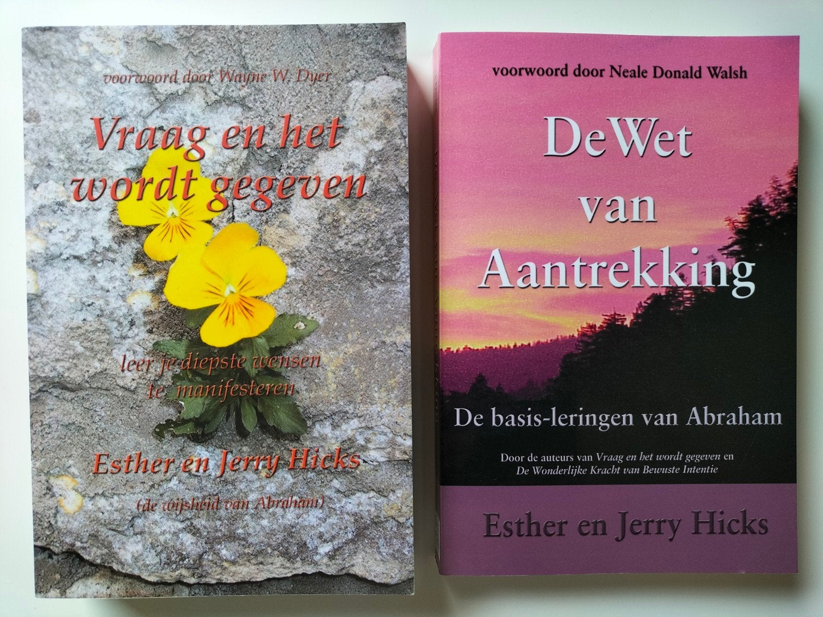Esther en Jerry Hicks de wet van aantrekking vraag/gegeven, Spiritualiteit algemeen, Overige typen, Nieuw, Ophalen of Verzenden