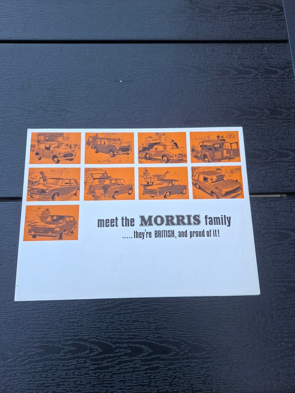 Meet the Morris family 1966, Boeken, Ophalen of Verzenden, Gelezen, Overige merken