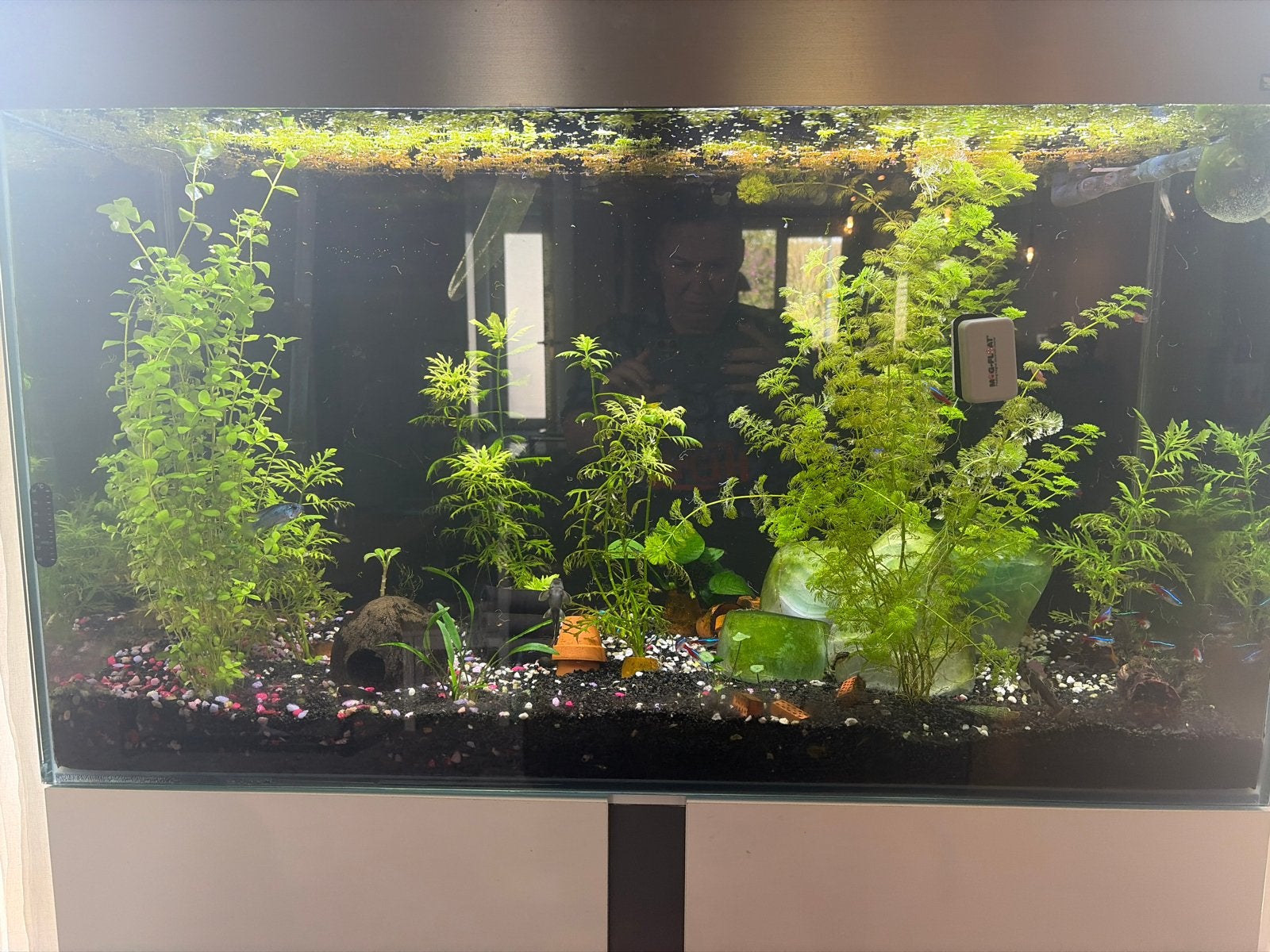 Ciano 200 liter aquarium, Ophalen, Leeg aquarium
