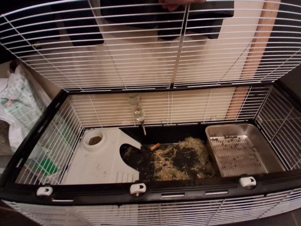 Konijnenhok, Dieren en Toebehoren, Knaagdieren en Konijnen | Hokken en Kooien, Ophalen, Hamster, 110 cm of meer, Nieuw
