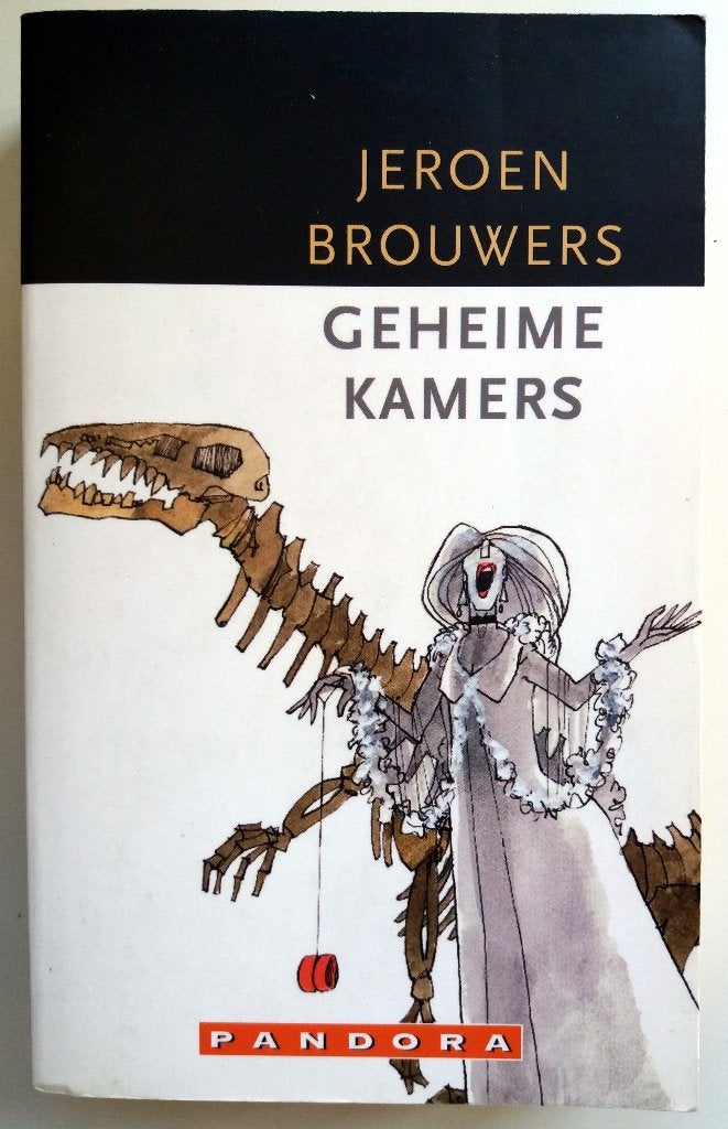 Jeroen Brouwers - Geheime kamers (Ex.1), Ophalen of Verzenden, Gelezen, Nederland
