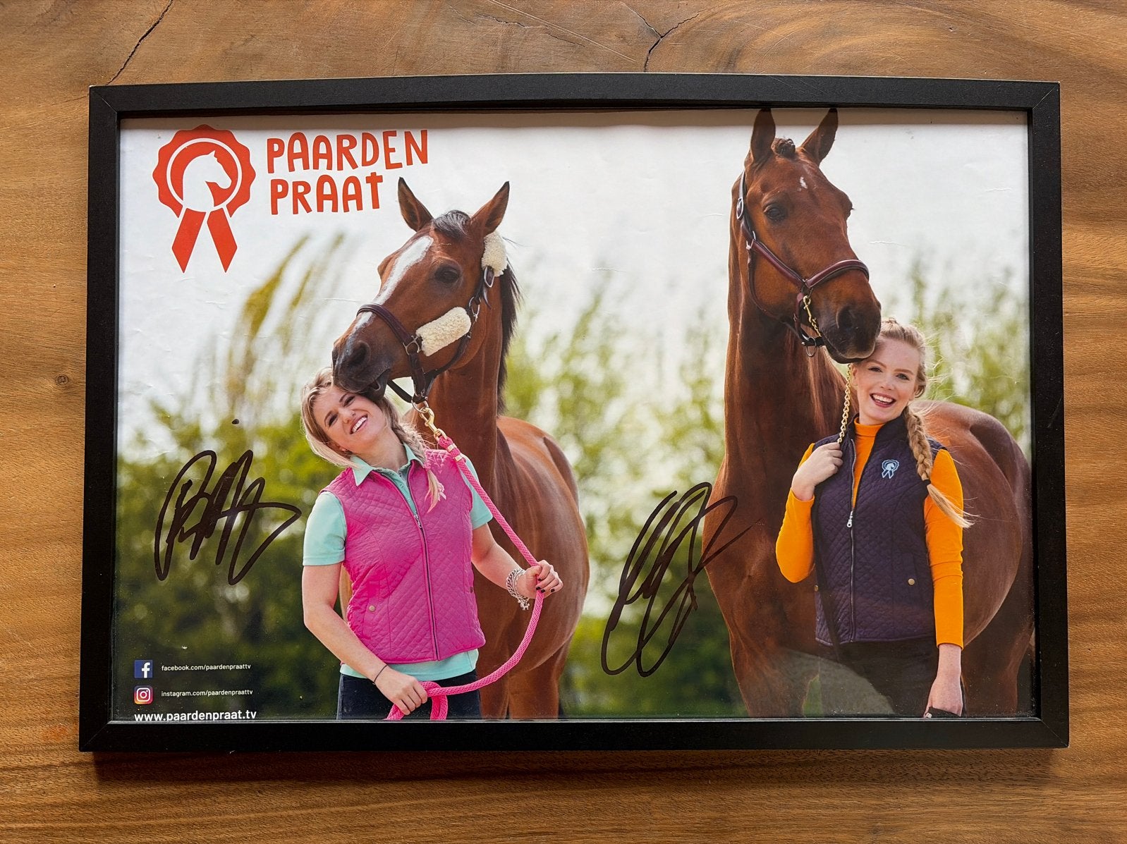 Gesigneerde Paarden Praat poster in lijst, 50 – 75, Minder dan 50 cm, Gebruikt, Verzenden