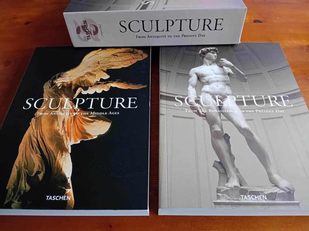 Taschen Sculpture deel 1 en 2, Ophalen of Verzenden, Zo goed als nieuw, Overige onderwerpen, Taschen
