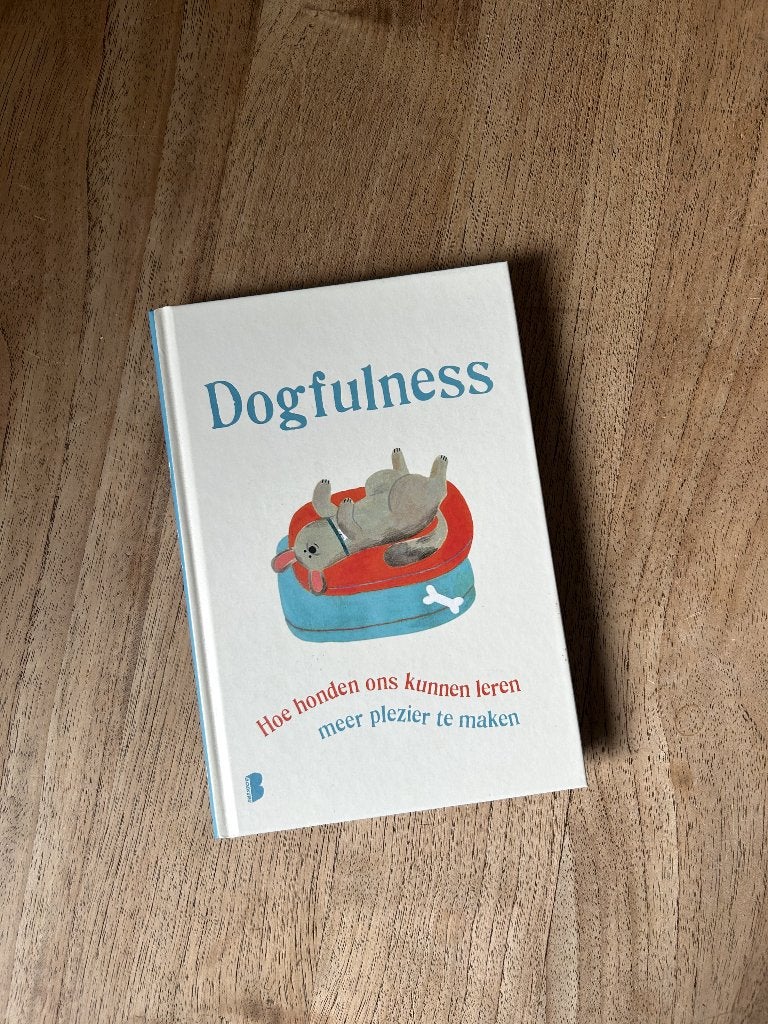 Dogfulness – Paolo Valentino, Ophalen of Verzenden, Zo goed als nieuw, Paolo Valentino