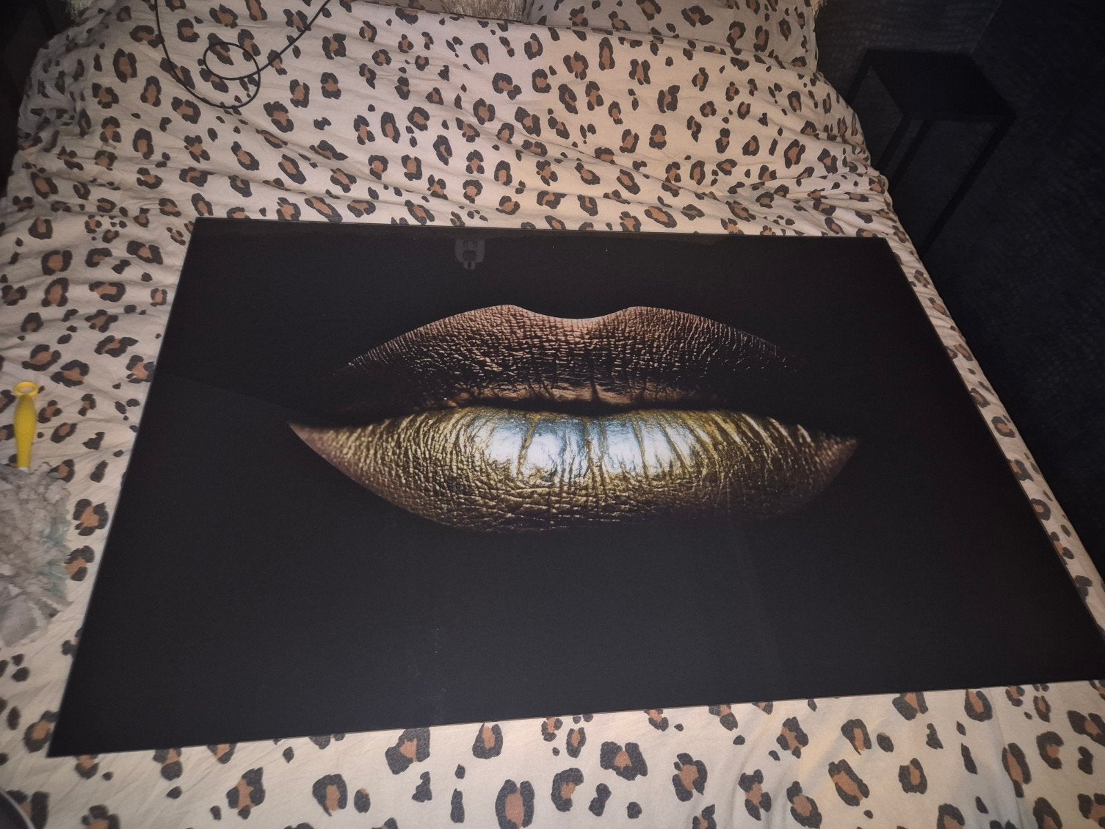 Plexiglas schilderij gouden lippen, Ophalen, Zo goed als nieuw, Schilderij