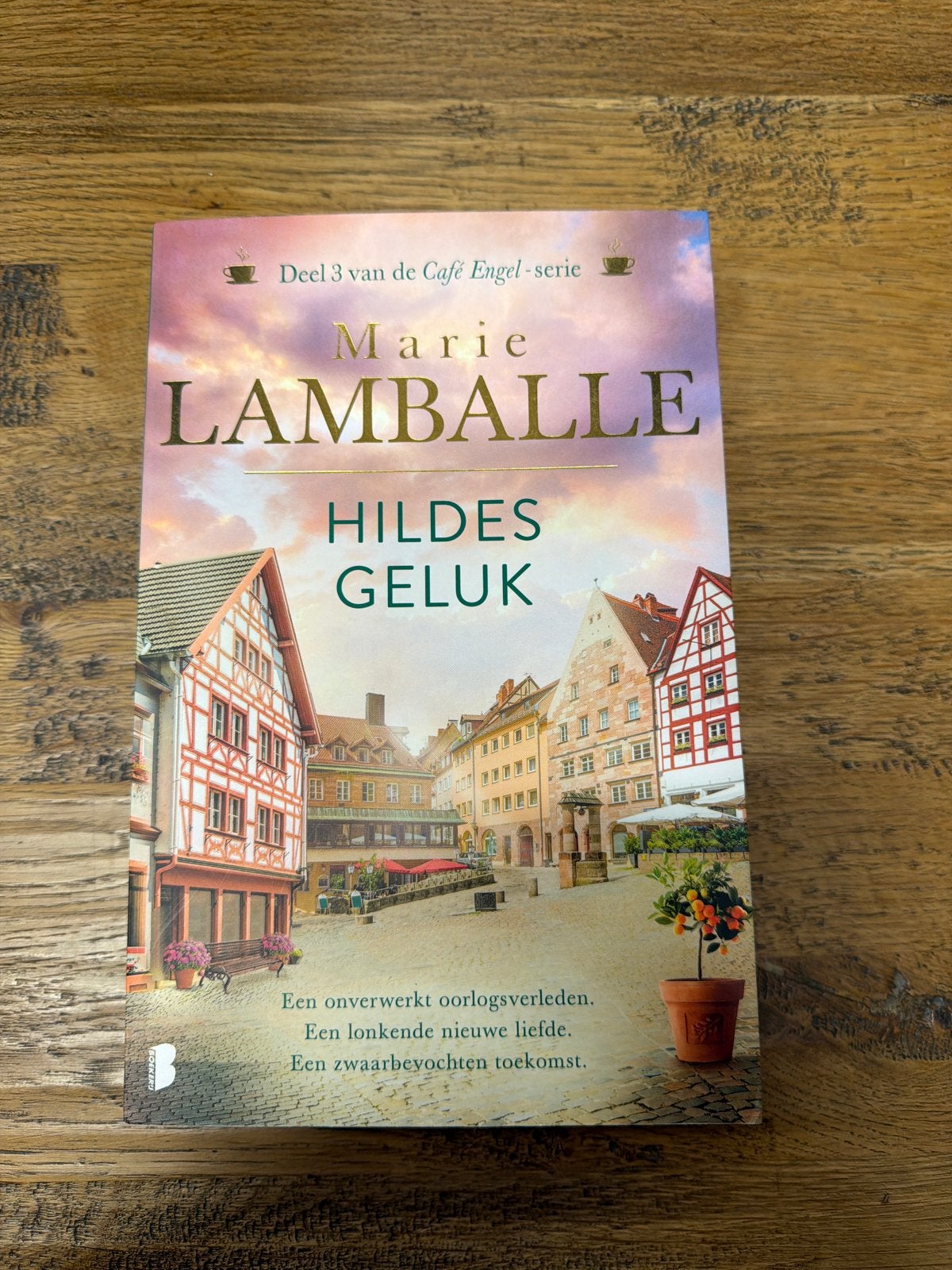 Marie Lamballe - Hildes geluk, Ophalen of Verzenden, Zo goed als nieuw, Nederland, Marie Lamballe