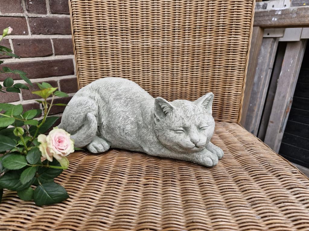 poes van beton , tuinbeeld, Ophalen of Verzenden, Atw, Atw, Nieuw