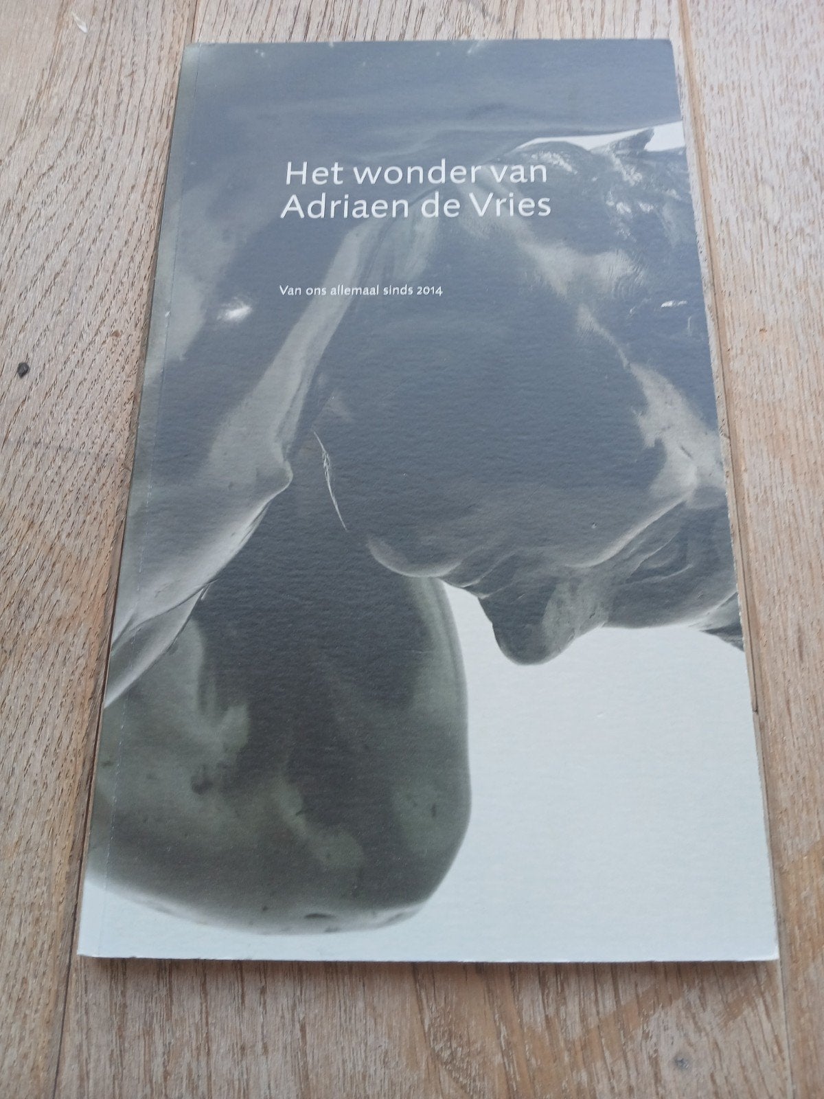 Het wonder van Adrian de vries in zeer goede staat, Boeken, Ophalen of Verzenden, Zo goed als nieuw