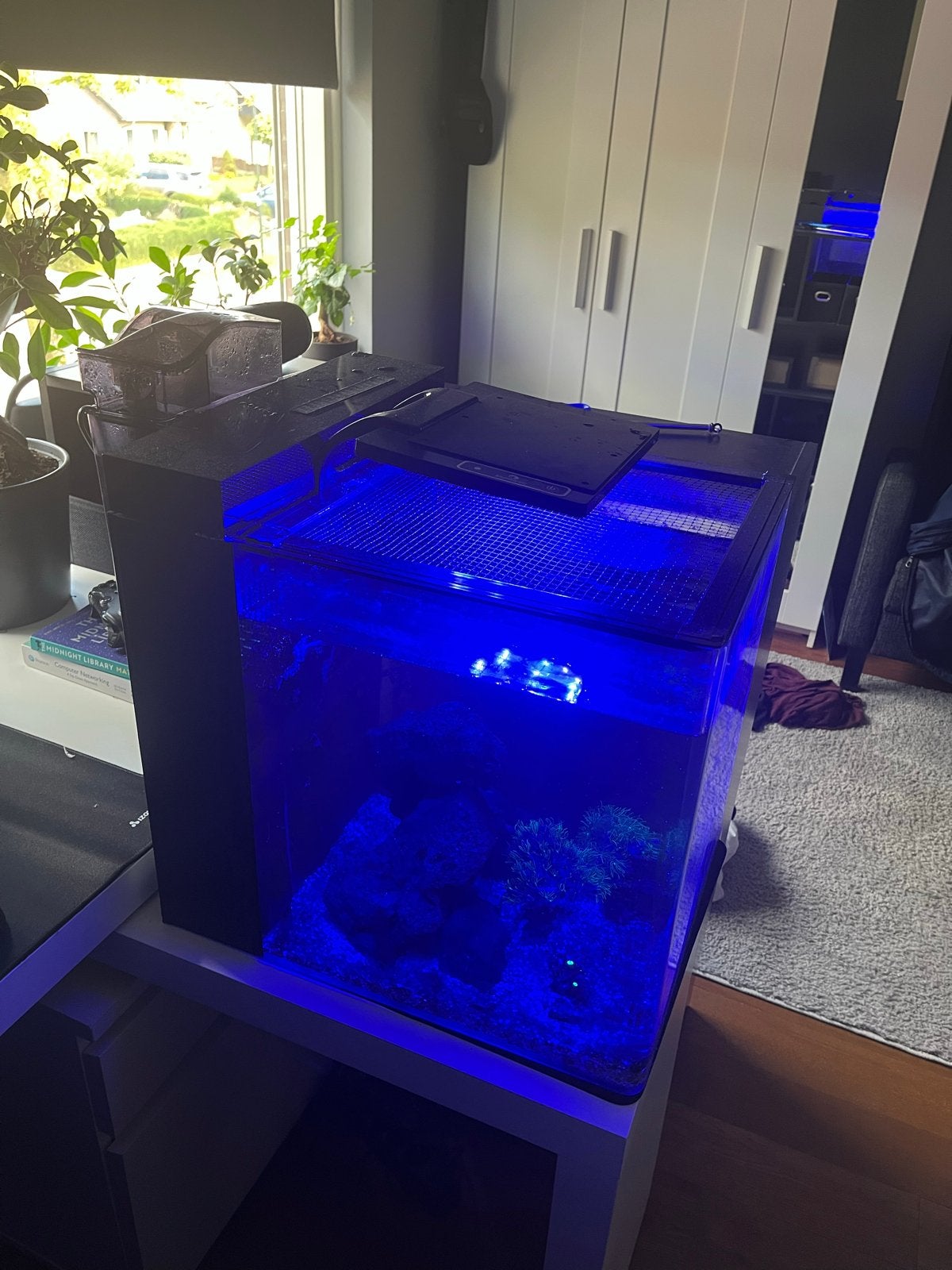 Blue Marine Reef 60 incl. spullen (Zoutwater aquarium), Dieren en Toebehoren, Ophalen, Gevuld zeewateraquarium, Zo goed als nieuw