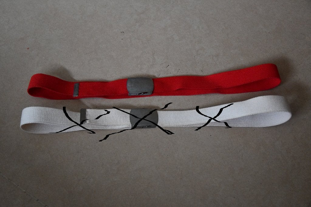 Rode stoffen riem met Shenky-gesp, Kleding | Dames, Tailleriem, Ophalen of Verzenden, Onbekend, Gedragen