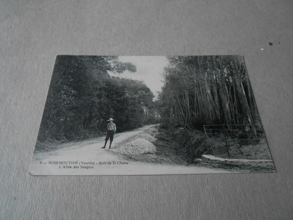 NOIRMOUTIER, Ophalen of Verzenden, Voor 1920, Gelopen, Politiek en Historie