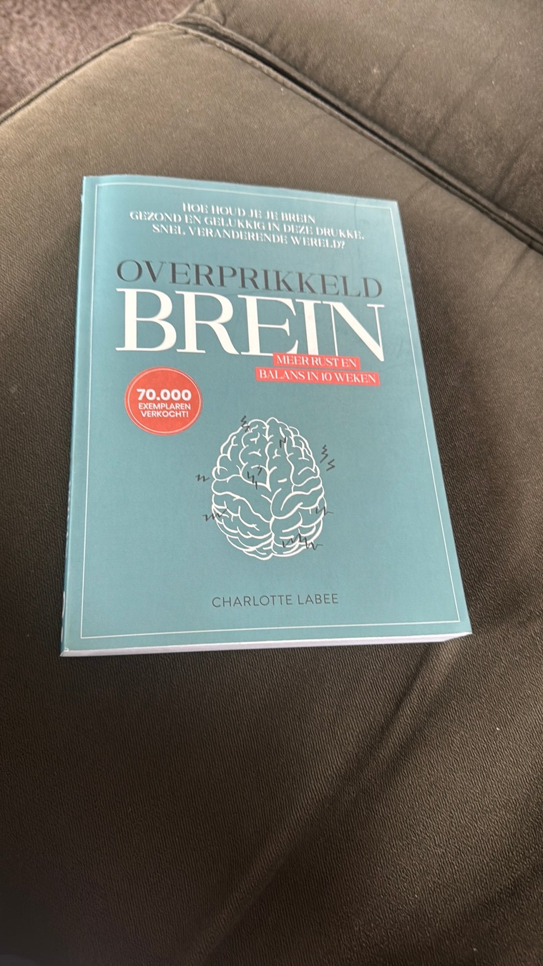 Overprikkeld brein- boek-, Ophalen of Verzenden, Nieuw
