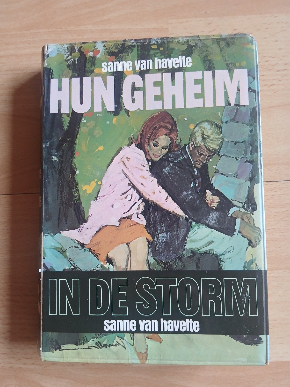 Sanne van Havelte - Hun Geheim / In de Storm, Ophalen of Verzenden, Gelezen, Sanne van Havelte, Nederland