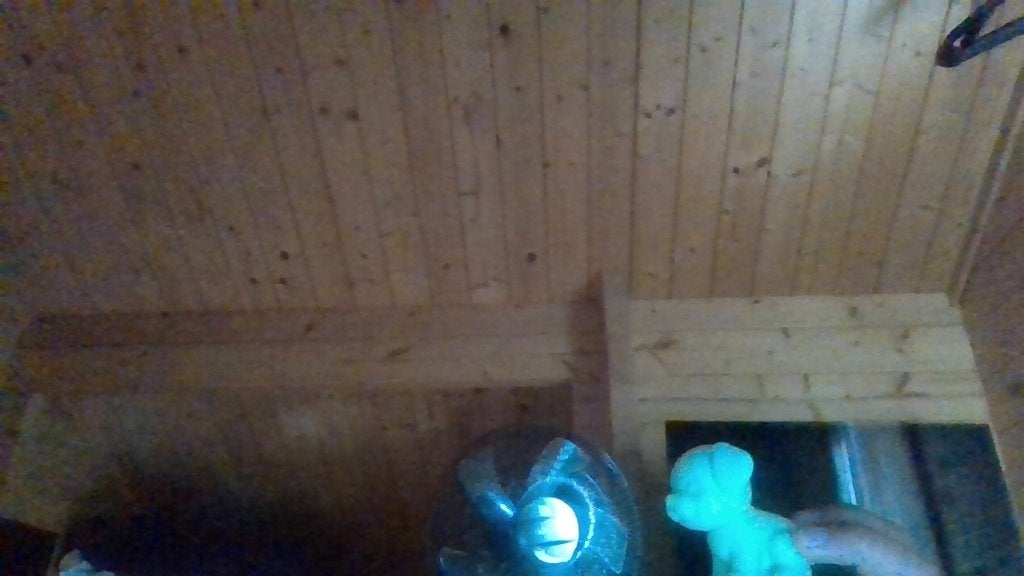 3d (glow in the dark puppy), Verzenden