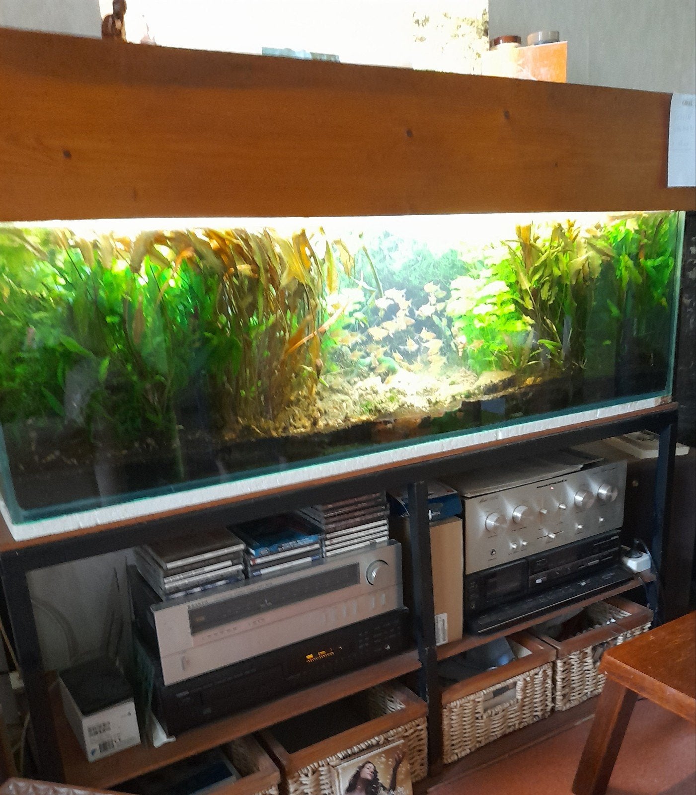 Aquarium en toebehoren, Dieren en Toebehoren, Ophalen, Inclusief toebehoren, Gebruikt, Gevuld zoetwateraquarium