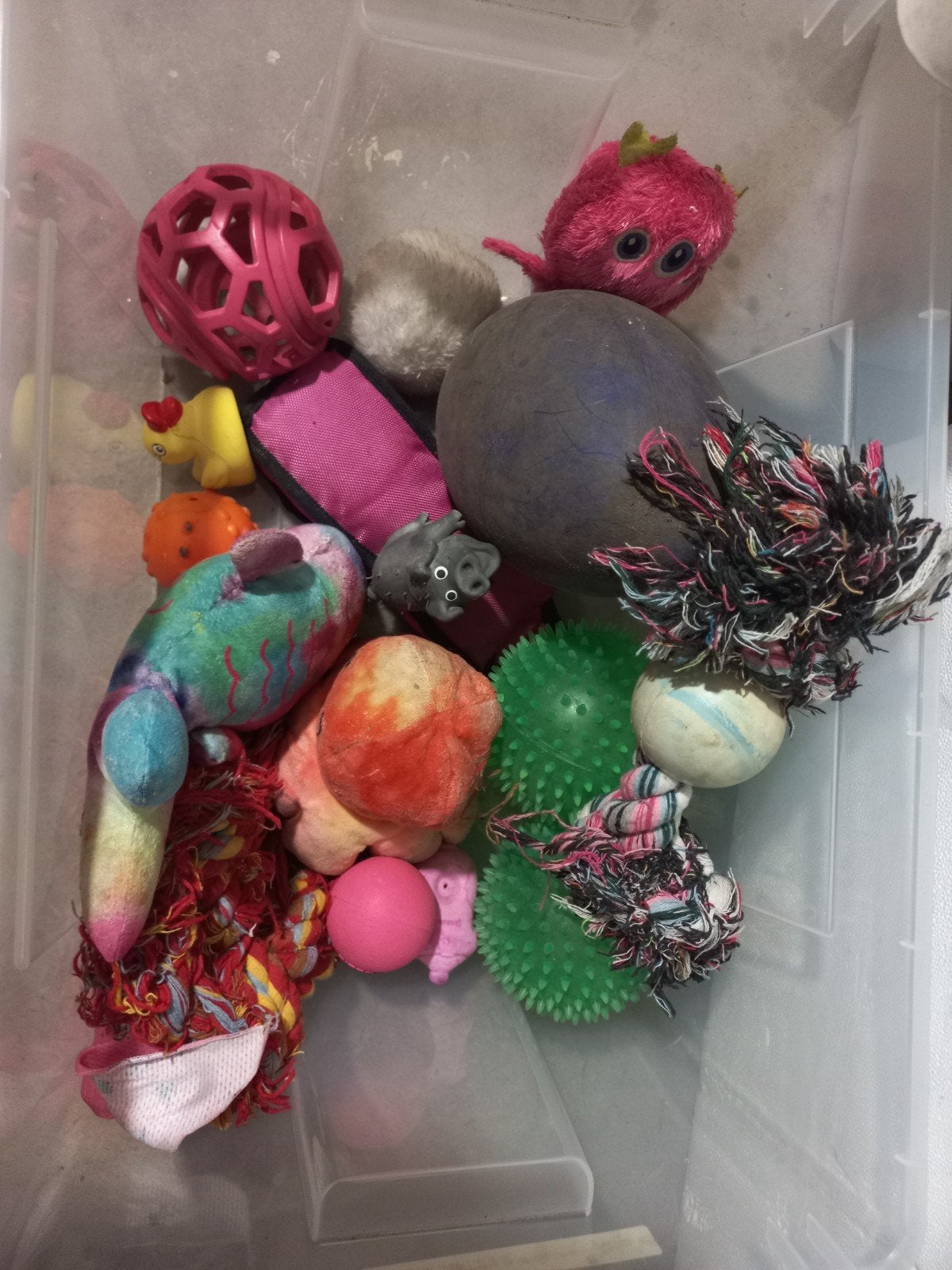 GRATIS hondenspeelgoed GEBRUIKT, ballen, touwen etc GRATIS, Ophalen, Gebruikt, Hondenspeelgoed