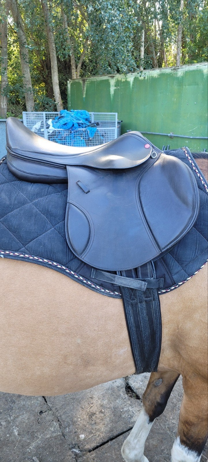 Edix springzadel 17" semi boomloos, Ophalen of Verzenden, Springen