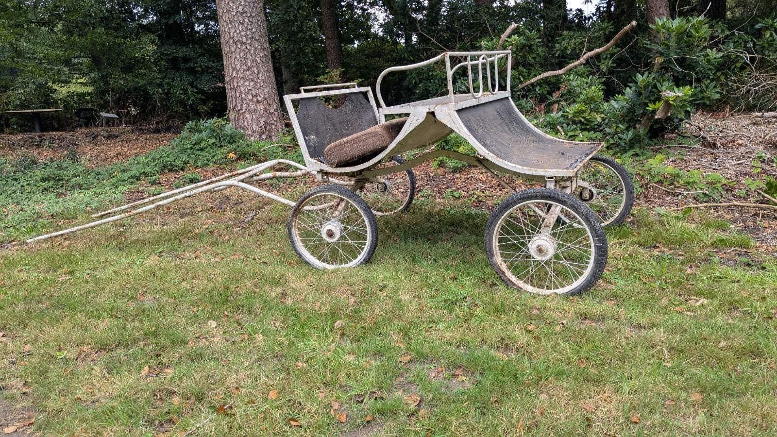 Paardenkoets, Gebruikt, Paard of Pony