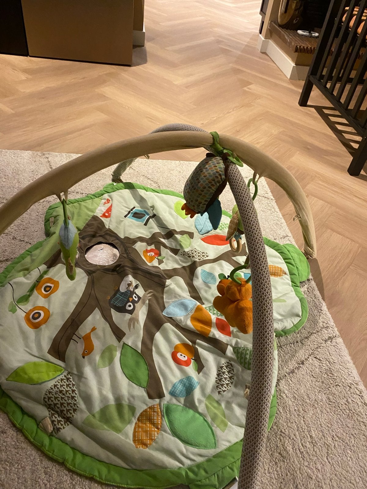 Speelkleed met babygym, Ophalen, Gebruikt, Speelkleed